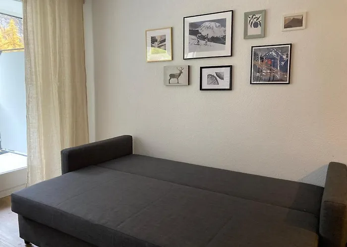 Cozy Leukerbad! 公寓 *